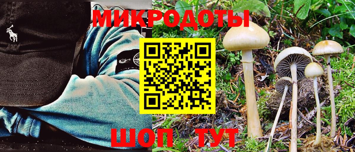 купить закладку  Вход с VPN  Воскресенск  Псилоцибиновые грибы Psilocybine cubensis  Галлюциногенные грибы Cubensis 